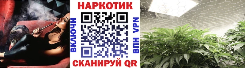 Названия наркотиков Ленинск А ПВП  Кокаин  Гашиш  Галлюциногенные грибы  Канабис  АМФ 