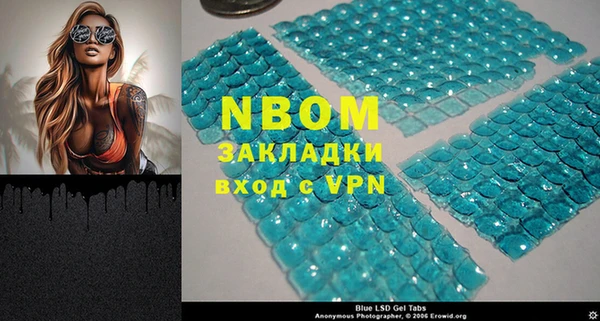 стаф Дедовск