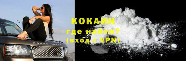 стаф Дедовск